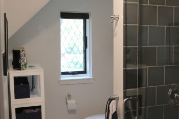 Home-Renovation-Birmingham-MI-Bathshower