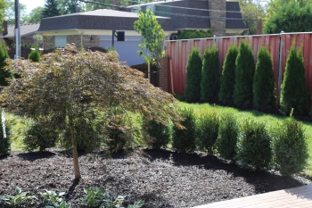 spa-backyard-remodel-St-Clair-Shores-MI-2019-09-26-10.46.41