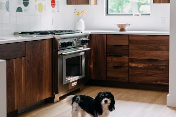 Dog_Friendly_Mid_Mod_Kitchen